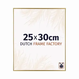 Dutch Frame Factory Fotolijst 25x30 Cm - Kunststof - Goud - Easy