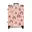 Regenboog patroon, Roze