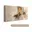 Abstract, Bruin