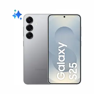 Samsung Galaxy S25 12 Gb 256 Gb 4000 mAh Silber