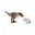 Bruin, Grijs