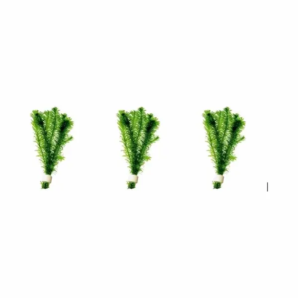 Aquaplants Levende Aquariumplanten - Elodea Densa - Per 3 Bosjes thumbnail