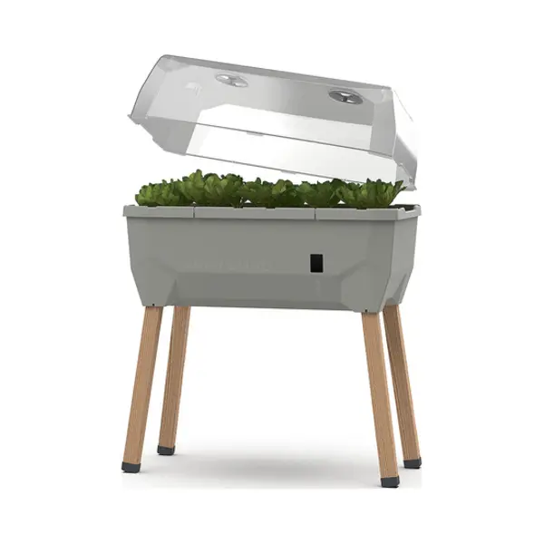 Gusta Garden Sammy Salad Drinnen/Draußen Topfpflanzer Freistehend Polypropylen (Pp), Holz Hellgrau, Durchscheinend, Transparent thumbnail