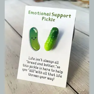 Emotional Support Pickle - Pocket Hug - Hart Onder De Riem Steken - Cadeau - Motivatie