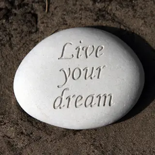 Zonnevogel Wenssteen Dream - Gravure In Wit Keitje; Live Your Dream