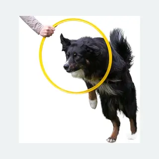 De-Tail Agility Ring Geel 40 Cm