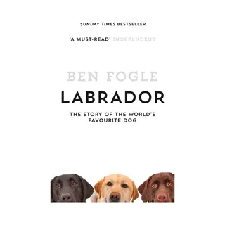 Labrador