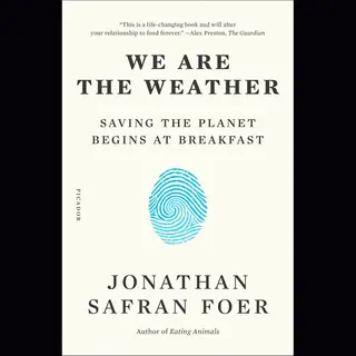 We Are The Weather
