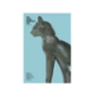 Isbn Gayer-Anderson Cat (Objects in Focus) boek Engels 64 pagina's