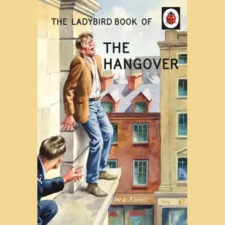 Isbn The Ladybird of the Hangover book English 56 pages