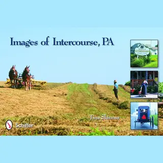 Images Of Intercourse