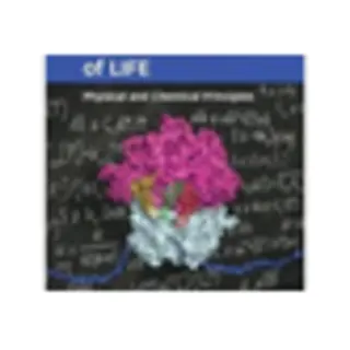 Isbn Molecules of Life: Physical and Chemical Principles: Physical Principles and Cellular Dynamics book Science & nature English Paperback 1032 pages