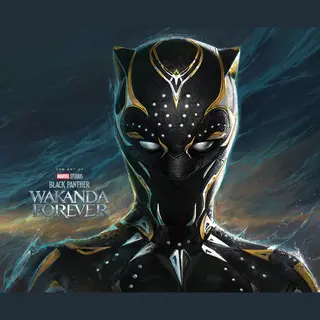 Marvel Studios' Black Panther, Wakanda Forever - The Art Of The Movie