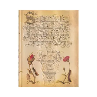 Paperblanks PB8124-1 Notizbuch 144 Blätter Gelb