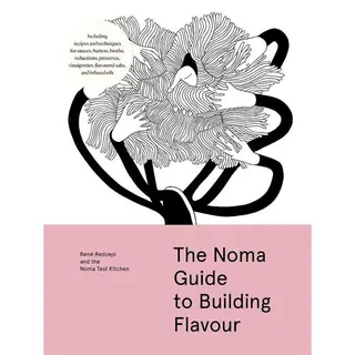 Workman Publishing The Noma Guide To Building Flavour