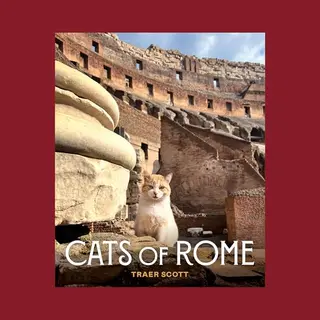 Chronicle Books Cats Of Rome