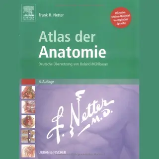 Atlas Der Anatomie