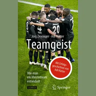 Springer Teamgeist
