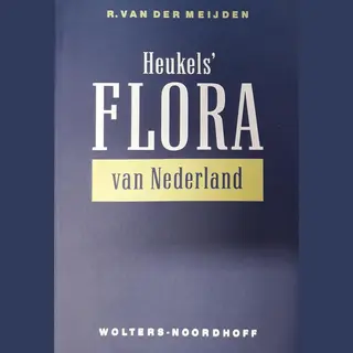 Meyden V D Flora V Nederland