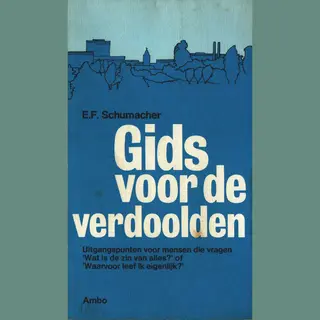 Gids Voor Verdoolden