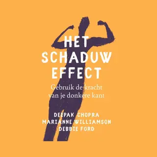 Het Schaduw Effect