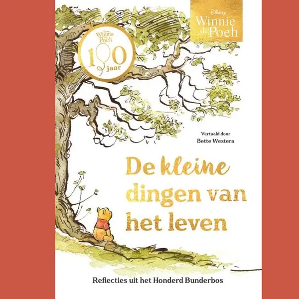 Winnie De Poeh. De Kleine Dingen Van Het Leven thumbnail
