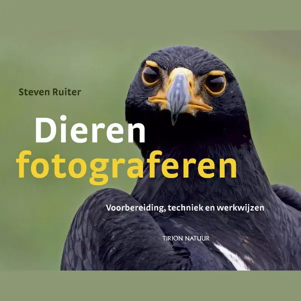 Dieren Fotograferen thumbnail
