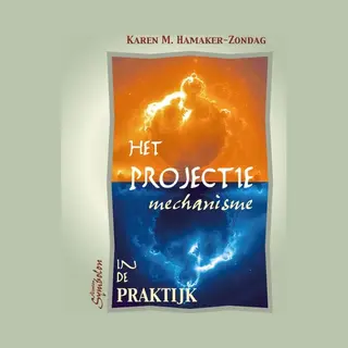 Het Projectie Mechanisme In De Praktijk