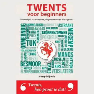 Twents Voor Beginners