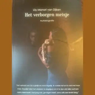 Het Verborgen Meisje
