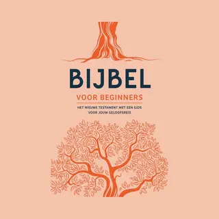 Bijbel Voor Beginners