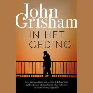 In Het Geding