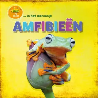 Soort Bij Soort In Het Dierenrijk - Amfibieën