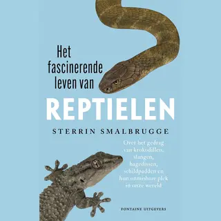 Het Fascinerende Leven Van Reptielen