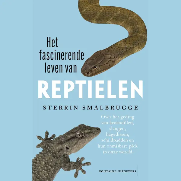Het Fascinerende Leven Van Reptielen thumbnail