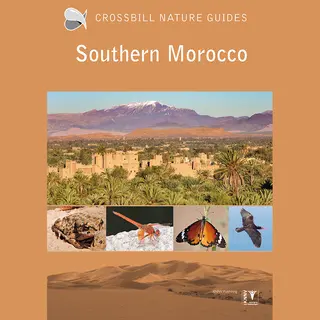 Crossbill Guides 33 - Crossbill Guide Southern Morocco