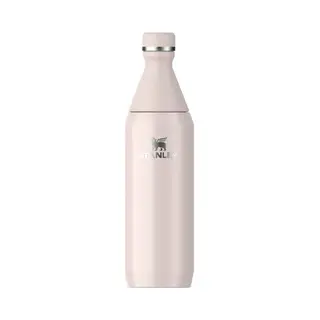 Stanley 1913 10-12069-021 drinkfles Dagelijks gebruik 0,6 ml Roestvrijstaal Roze