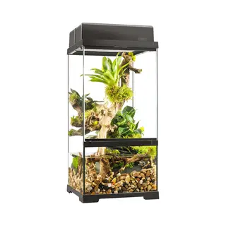 Exo Terra Pro Paludarium 30 X 30 X 60 Cm