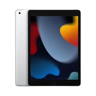 Apple iPad 4G Lte 256 Gb 25,9 cm (10.2") Wi-Fi 5 (802.11ac) iPadOS 15 Zilver