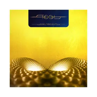 Sony Music Fear Inoculum [Vinyl]