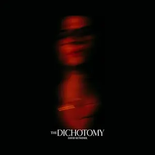 Universal Music Nederland David Kushner - The Dichotomy (2 Lp)