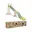 Beige, Groen, Wit