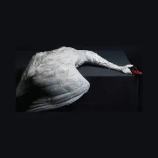 99999 (Broken Silence) Mass Vi [Vinyl]