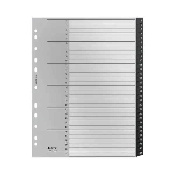 Leitz Recycle Index, Pp, extra wide thumbnail