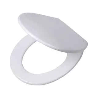 Tiger Boston - Wc Bril - Soft Close - Easy Clean - Duroplast - Wit / Rvs Geborsteld