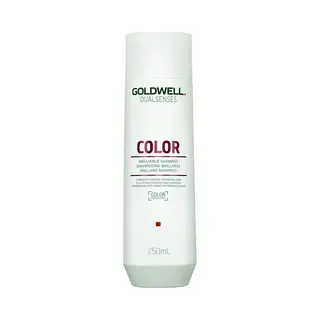 Goldwell Dualsenses Color 250 ml 2-in-1 Shampoo & Conditioner Unisex