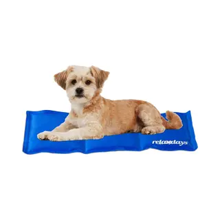 Relaxdays Hundematte Kühlmatte Hund Blau, 20 X 35 Cm