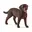 Bruin, Labrador Retriever