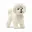 Bichon frisÃ©, Wit