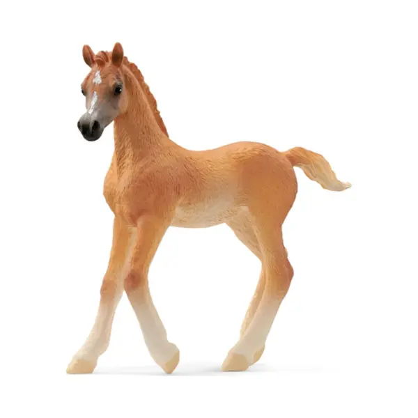 schleich Horse Club Araber Fohlen thumbnail
